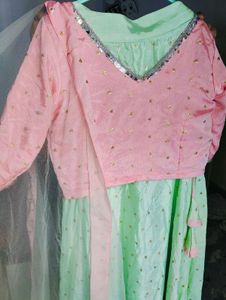 Pastel Lehanga Choli Set