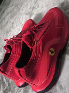 Brand New Ferrari Shoe Red Colour