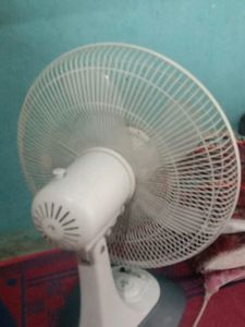 Table Fan