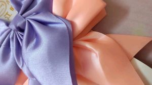 Hair Bow Clip (Combo Of 2)