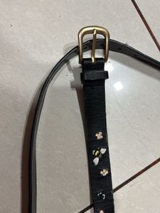 Max Embroidered Belt