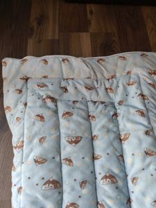 Sleeping Bag