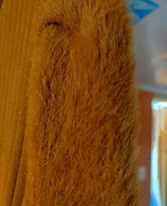 Elegant Brownish Mustard Dress