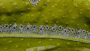 Embroidered Sarees
