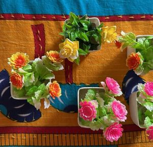 5 Plants