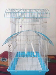 🐦 Brid Cage