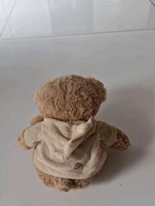 Cute Hoodie Teddy