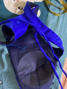 Elegant Blue Saree padded Blouse