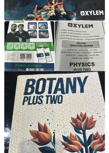 Plus Two Physics,Chemistry ,Maths&amp;Botany Xylem