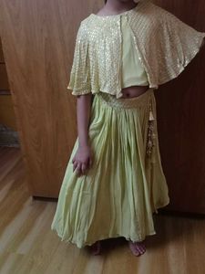 Cape Style Lehenga Choli (Party Wear)