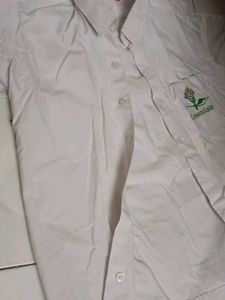 Greendale School Uniform Shirt