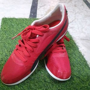 Puma Ferrari New Shoes