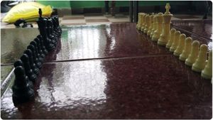 Eenfnety ™ Resin Tournament Chess Pieces PCENFE000