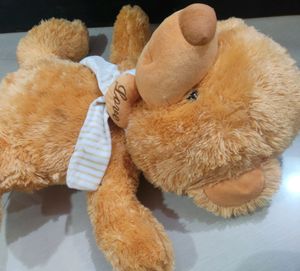 Cute Teddy - Giant Baby 🧸