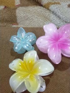 Tropical Flower Hair Clips/Claws - Set of 3