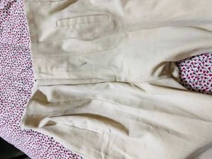 Rich LOOKING ZARA PANT