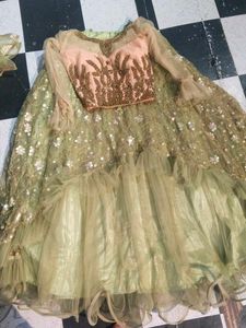 Elegant Lehenga Choli Set