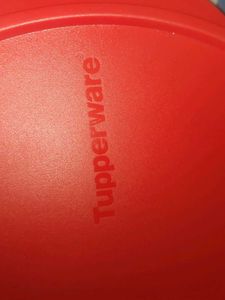 Masala Box Tupperware New