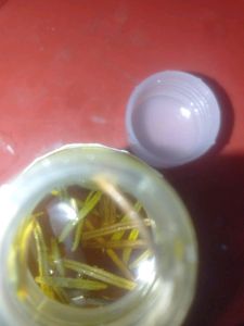 Homemade 100%pure Organic Rosemary Oil