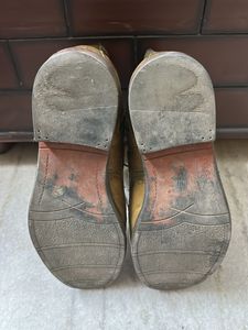 *GUCCI BEE* Chelsea Boots