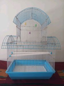 🐦 Brid Cage