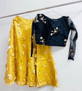 Elegant Lehenga Choli Set