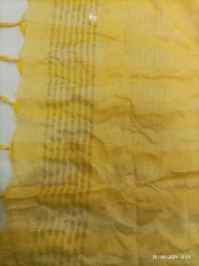 Dupatta For Daily Use