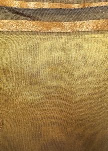Olive &amp; Gold Embellished Saree