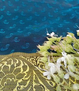 Peacock Blue Party Wear💙✨