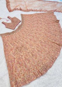 Coral Net Beautiful Lehenga