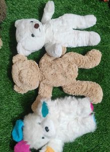 Teddy Combo