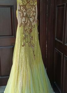 Elegant Ethnic Gown