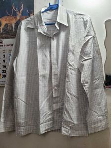 Daily Wear Shirt