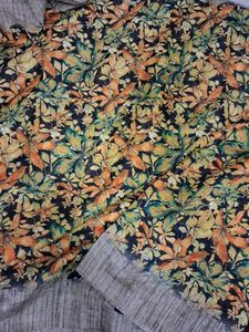 Striped &amp; Floral Print Saree