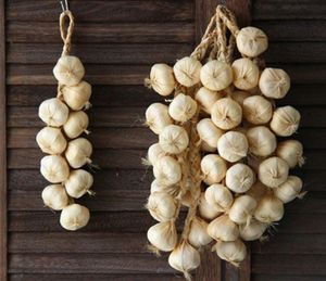 1 Artificial Onion/Garlic  Simulation String