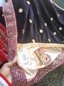 Elegant Embellished Saree