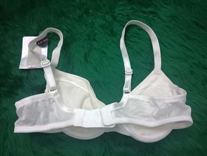 What Are Padded Bra S Size 🌾