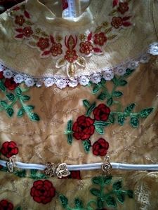 Floral Embroidered Party Dress