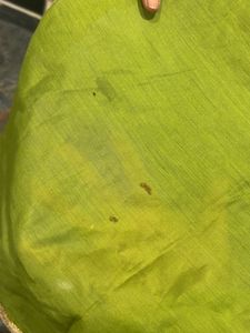 kurti used