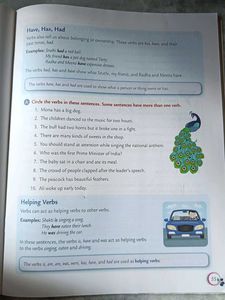 Collins English Grammar And Composition