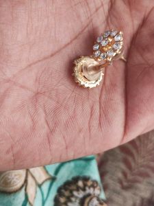Earrings With Hair Clips