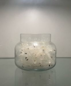 Mysterious Dandelions Jar