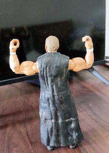 WWE Action Figures (3)