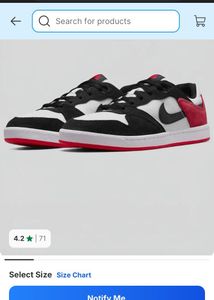 NIKE SB ALLEYOOP Skateboard Shoes For Men (10)