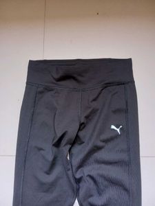 Puma tight