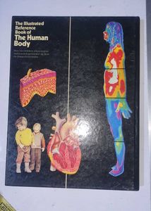 THE HUMAN BODY