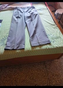 Selling Rayon Fabric Grey Pant For Men In ₹300