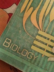 Class 12 Cbse Textbook Biology
