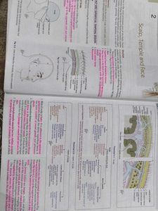 Human Anatomy Volume 3 with free workbook
