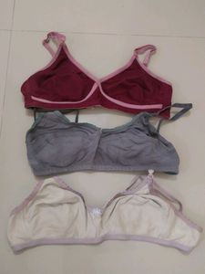 Garments
